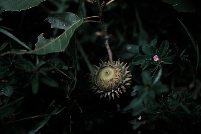 静かな作業環境 デジタルデトックス 整理されたミニマルデスク