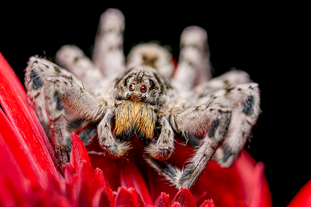 高橋 誠 ZentraStudio創業者 代表取締役 ビジネスポートレート