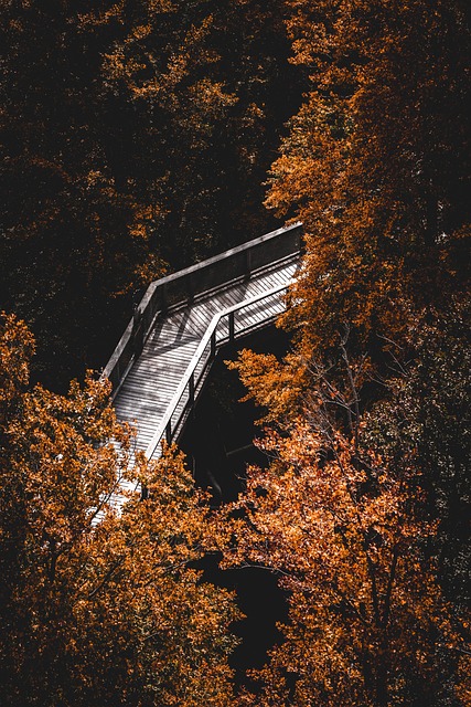 集中して作業する人 フロー状態 マインドフルネス瞑想